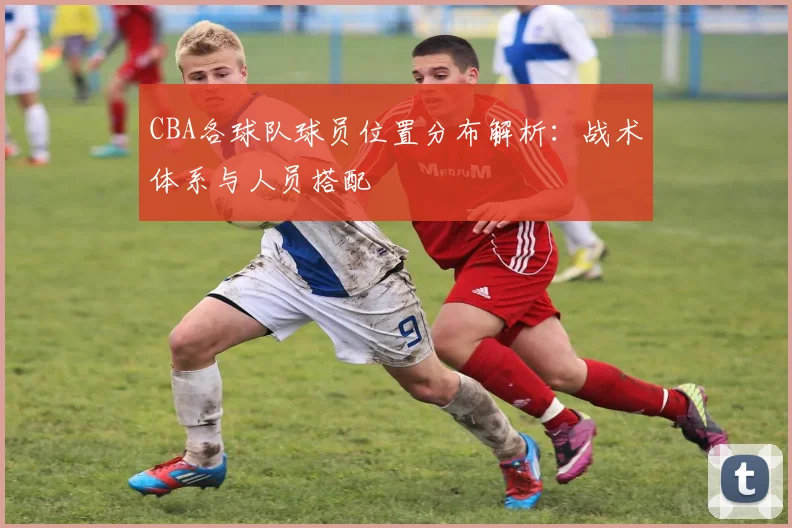 CBA各球队球员位置分布解析：战术体系与人员搭配