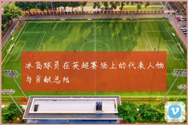 冰岛球员在英超赛场上的代表人物与贡献总结